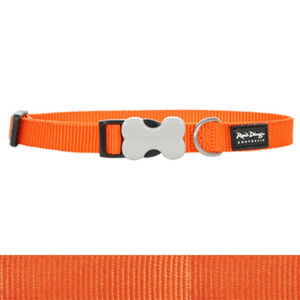 Hundehalsband aus Nylon von Red Dingo in saftigem Orange