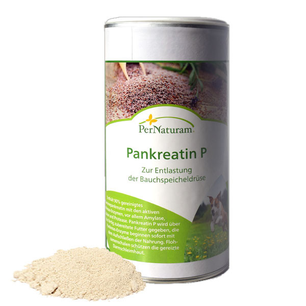 Pankreatin P von PerNaturam für die Bauchspeicheldrüse