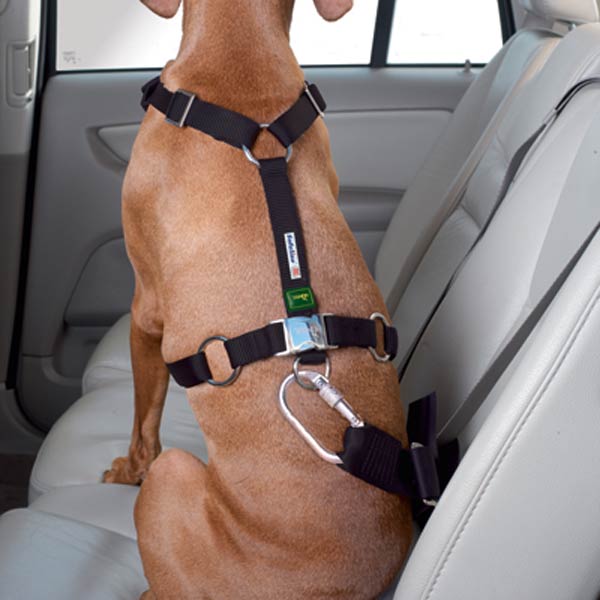 Auto-Sicherheits-Geschirr Easy Comfort Hunter Hunde