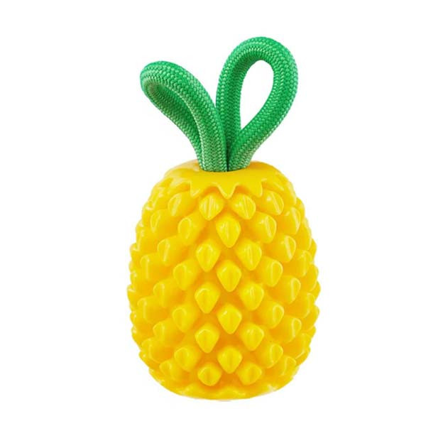 Dental Pineapple Spielzeug-Ananas von Planet Dog als Zahnpflege